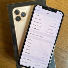 iPhone 11 Pro 256GB ジャンク