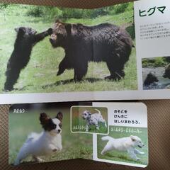 絵本２冊＋おまけ１冊の画像