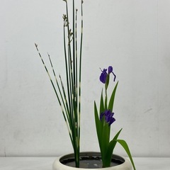 お花の教室　生け花/アレンジメント