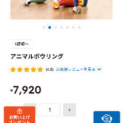 子供用ボーリング、ボーネルンド　アニマルボーリングの画像
