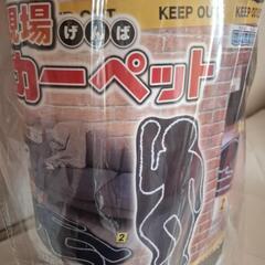 現場カーペットの画像