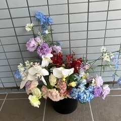 生花4