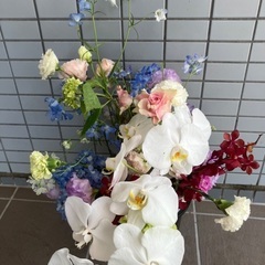 生花5