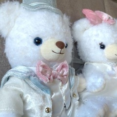 ダッフィー  シェリーメイ  ぬいぐるみ  ディズニー Disneyの画像
