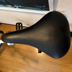 (美品)KCD SW-M20 20インチ折りたたみ自転車の画像