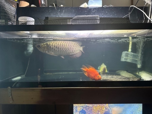 アクリル水槽　専用ページ