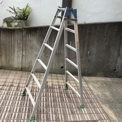 ハセガワ アルミ合金製兼用脚立　6尺　RC-18