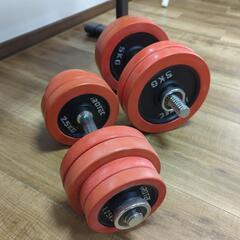 可変ダンベル+トレーニングベンチセットの画像