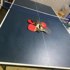 国際規格卓球台PB-2PG0019　縦274cm×幅152.5c...