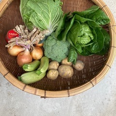 野菜まとめ売り