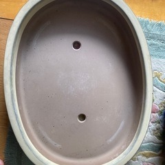 盆栽用の鉢　白