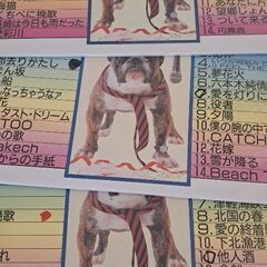 カラオケ　レーザーディスクの画像