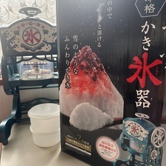  【確定済】レトロ可愛い電動かき氷器★ふわふわ氷が作れるの画像