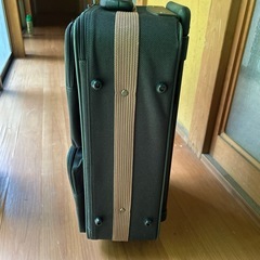 キャリーバッグ
の画像