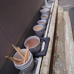 胡蝶蘭が入ってた鉢 何個かあります