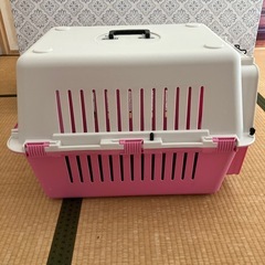 クレート　犬　ピンク🩷　
