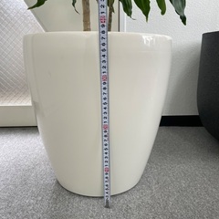 大型植木鉢（プラスチック）
