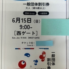 6/15(日)万博チケット1枚