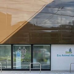 える動物病院の愛玩動物看護師【東京都江戸川区】の画像