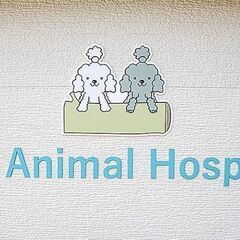 える動物病院の愛玩動物看護師【東京都江戸川区】の画像