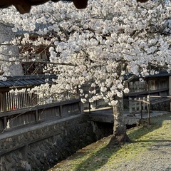 思い出のある場所に同行します🌸