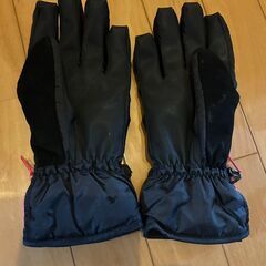 スキー用　グローブ①　大人　レディースの画像