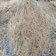 海苔網　の画像