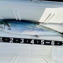 釣りに行ってみませんか🎣🙌🏻