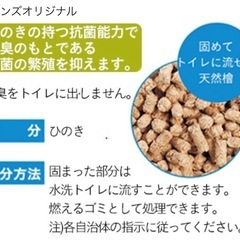 猫砂 トイレ　ひのきのネコ砂 13.5L×4個入 消臭 飛び散り防止 固まる 流せる 燃やせるの画像