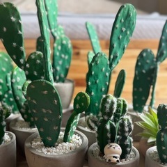 サボテン🌵オブジェいっぱいの画像