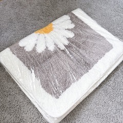 玄関マット 室内 おしゃれ バスマット 浴室足ふきマット 40*60cmの画像