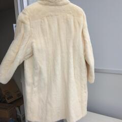 毛皮のコート綺麗です。の画像