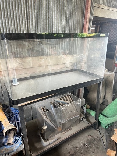 オーバーフロー水槽(受け渡し決定)