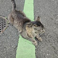 これからー