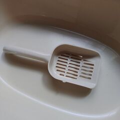 猫ベッドとして使用していたネコ型猫トイレの画像