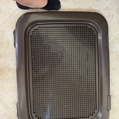 犬用トイレ