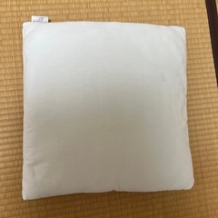 クッション中身とカバー
の画像