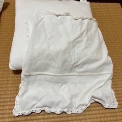 クッション中身とカバー
の画像