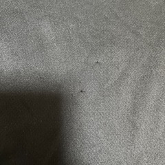 ルコック スポーツウェア セットアップ 上下 Mサイズ レディースの画像
