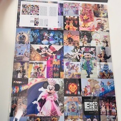 ディズニー　Disney まとめ売り　3点　クリアファイル　ショッパーの画像