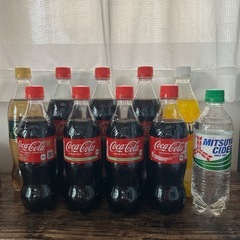 お話中　ペットボトル　炭酸飲料　ジュース　コカコーラ　ジンジャー...