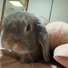 あなたの居場所はありますか🌺
