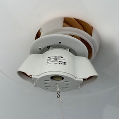 ピーターラビット、吊り下げ電気、シーリングの画像