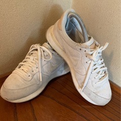 ナイキスエード23cm 多少汚れありの画像