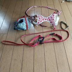 小型　犬猫のリードや首輪