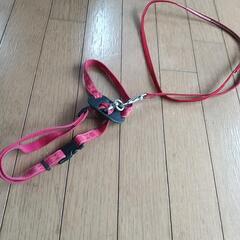 小型　犬猫のリードや首輪の画像