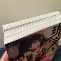 現実をたまには嘘をつく 1-3巻セットの画像