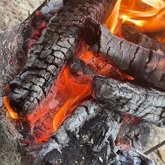 【6/22(日)開催】【気軽に参加OK🙆‍♀】BBQで新し…