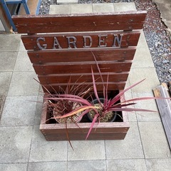 寄せ植えプランターの画像