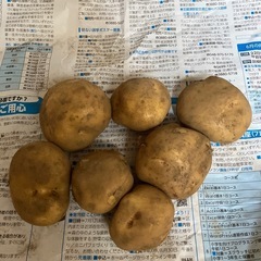 じゃがいも　